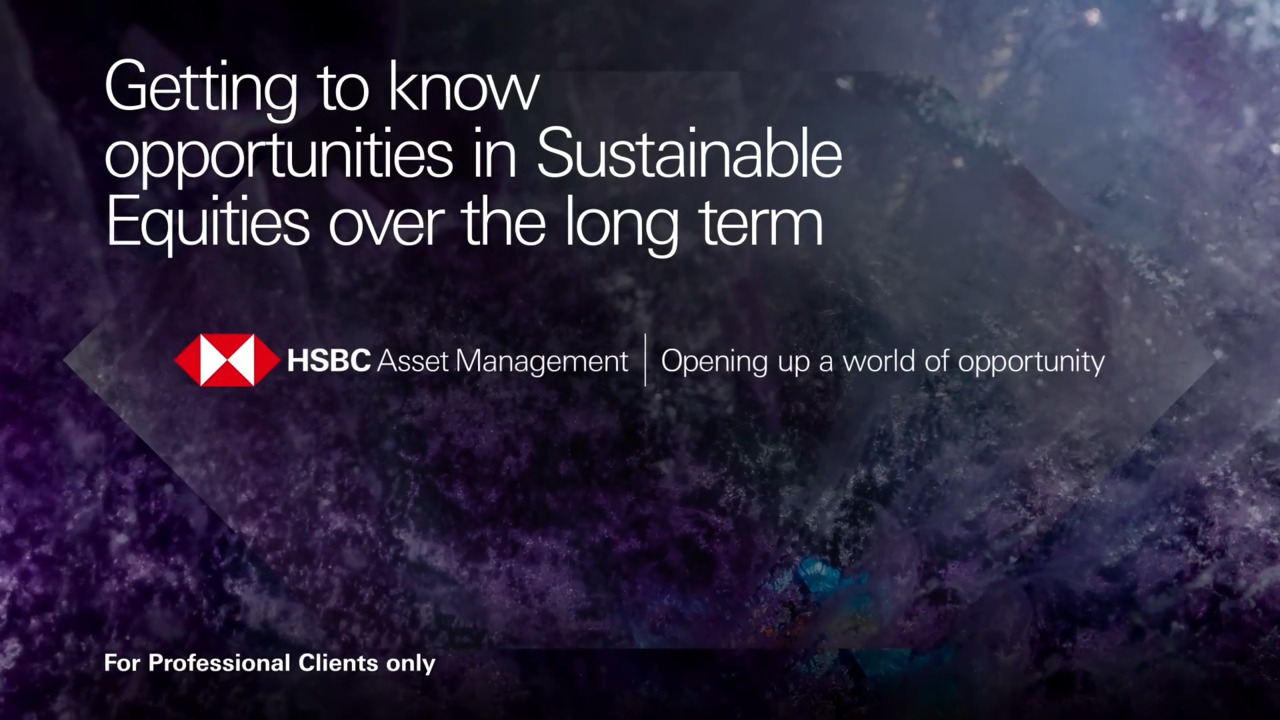 Getting to know opportunities in Sustainable Equities over the long term