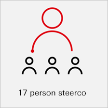 17 person steerco