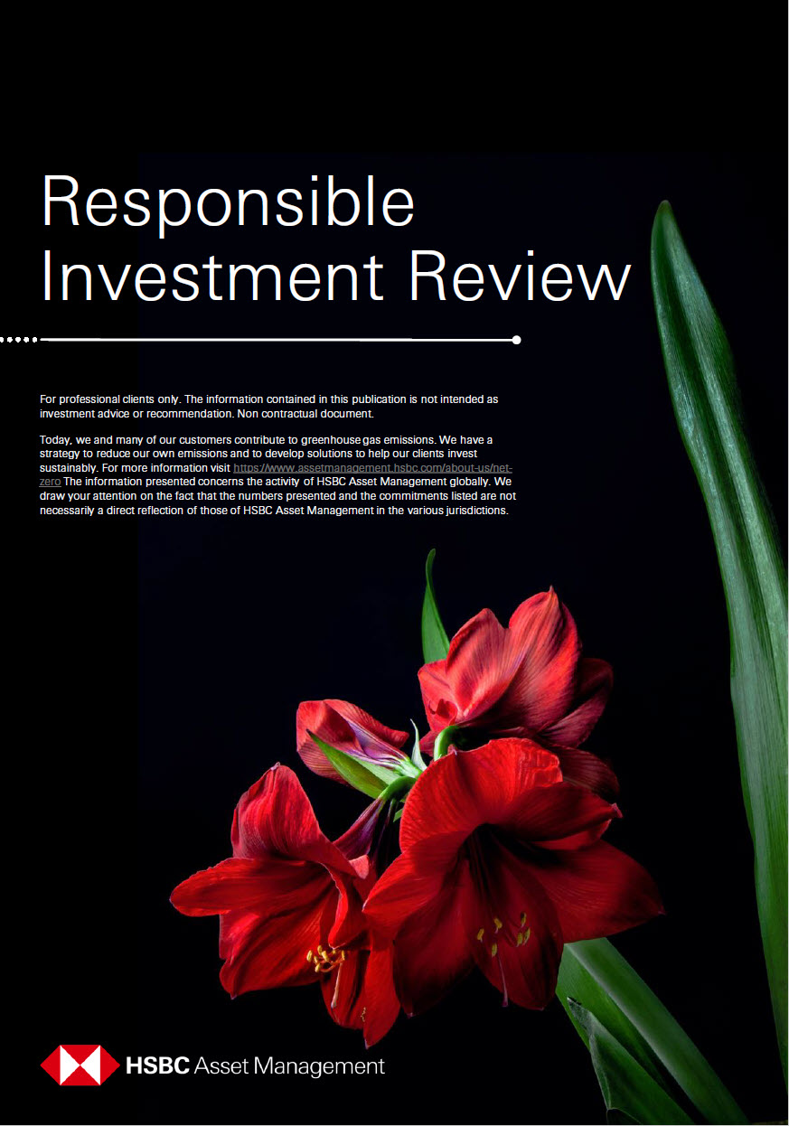 Responsible Investment Review