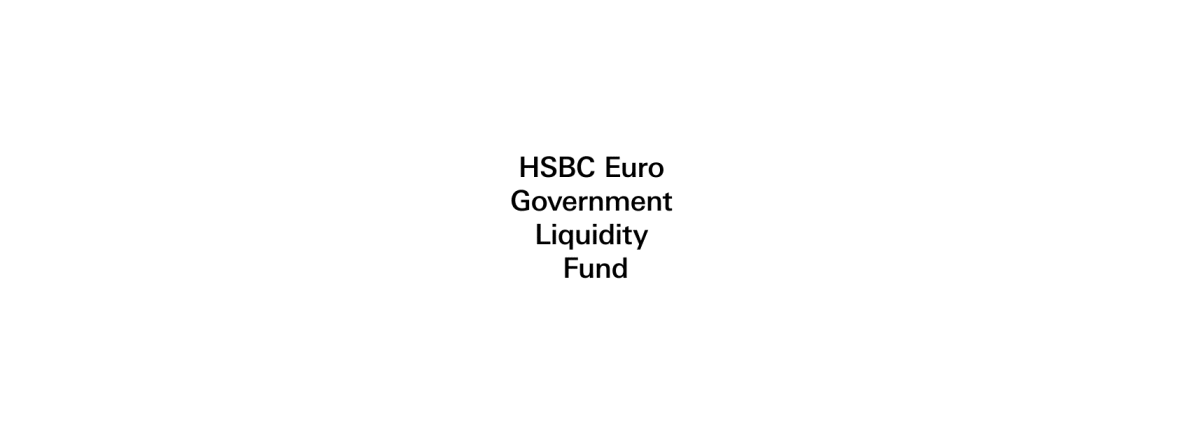 HSBC Money Market ETFs