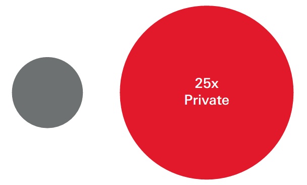 Figure 5: Privately vs publicly owned companies - Number of global companies